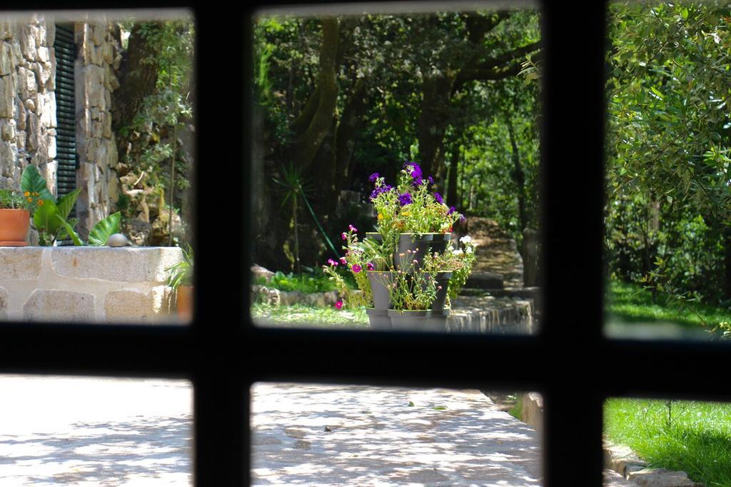 Moinho Do Azere Villa Arcos de Valdevez Ngoại thất bức ảnh